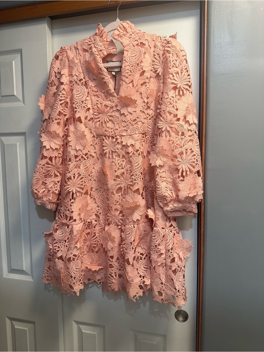 Tuckernuck Peach Pink Floral Appliqué Lace Mini Dress